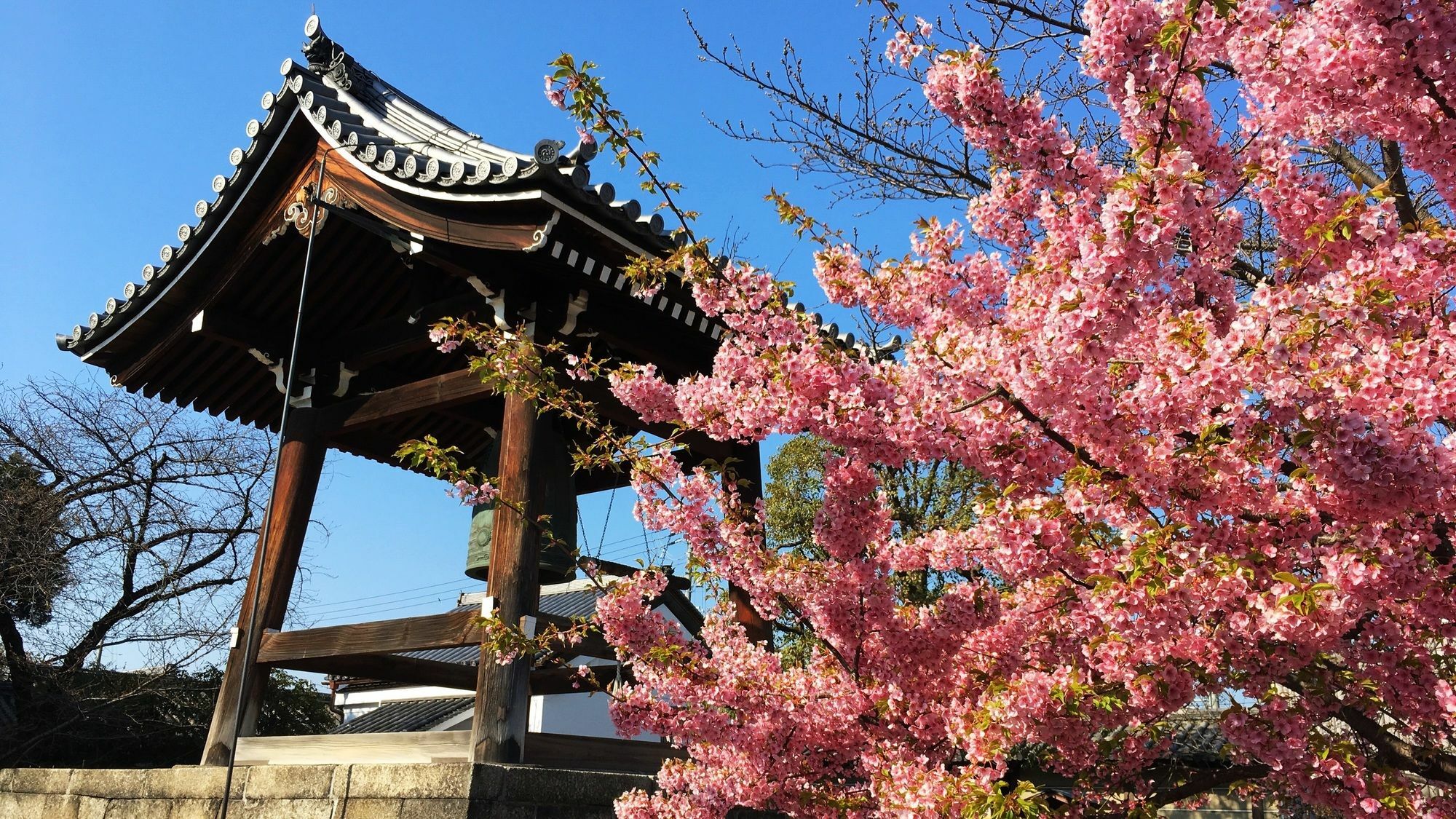 Stay Sakura Kyoto Toji South I Exterior foto